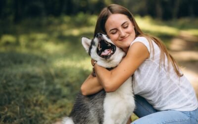 ¿En qué consiste la Ley 675 del 2001 o de Propiedad Horizontal?